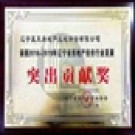 突出貢獻(xiàn)獎(jiǎng)
